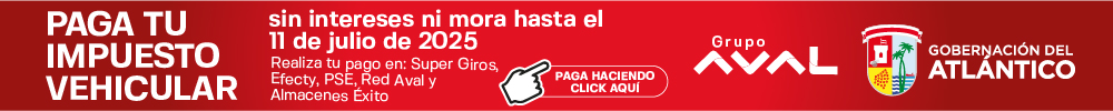 BannerFijo-ImpVeh-1000x100