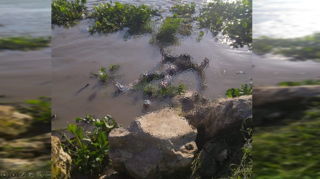 cuerpo flotando río Magdalena Barranquilla